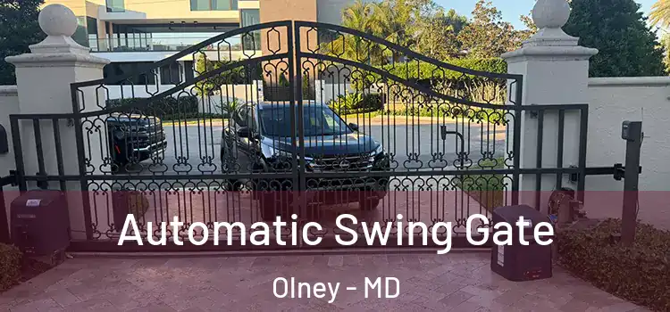  Automatic Swing Gate Olney - MD