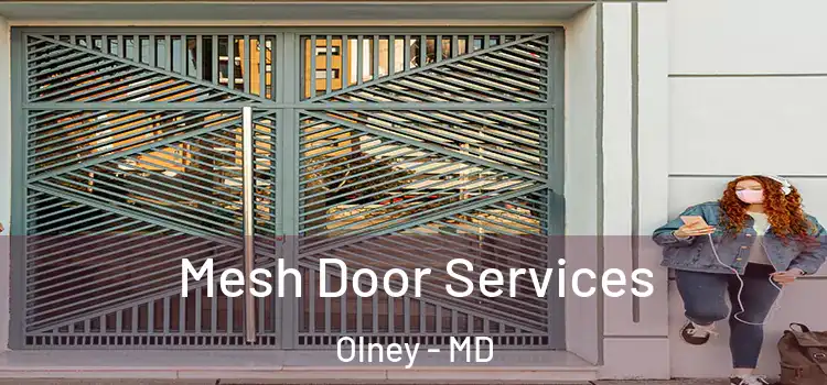 Mesh Door Services Olney - MD