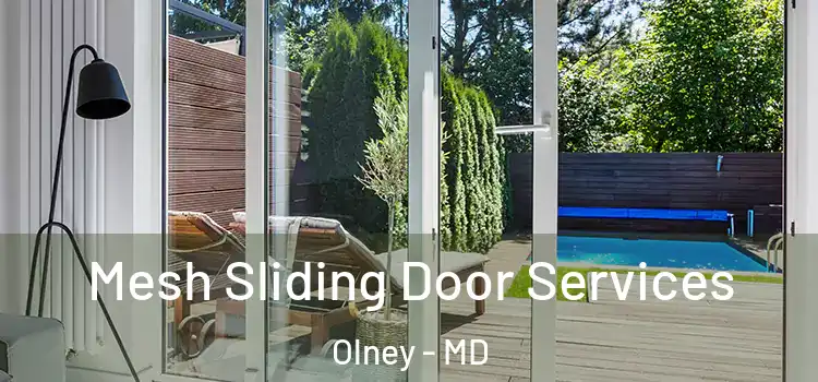  Mesh Sliding Door Services Olney - MD